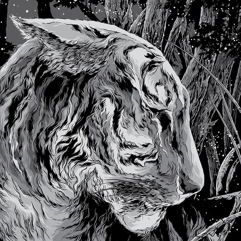Tiger by Ken Taylor