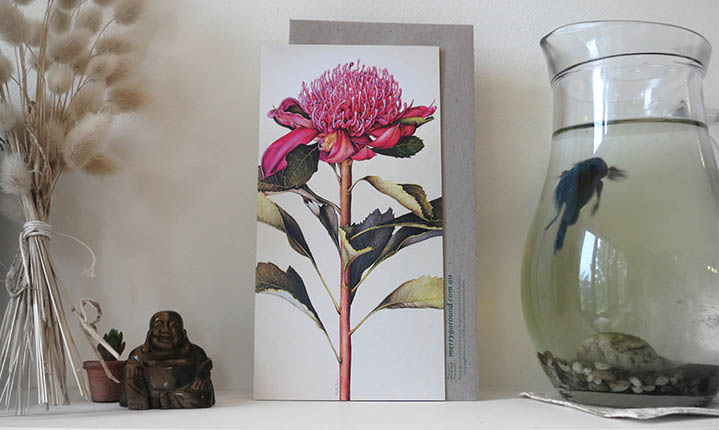 merrygoround-cards_0008_waratah-r